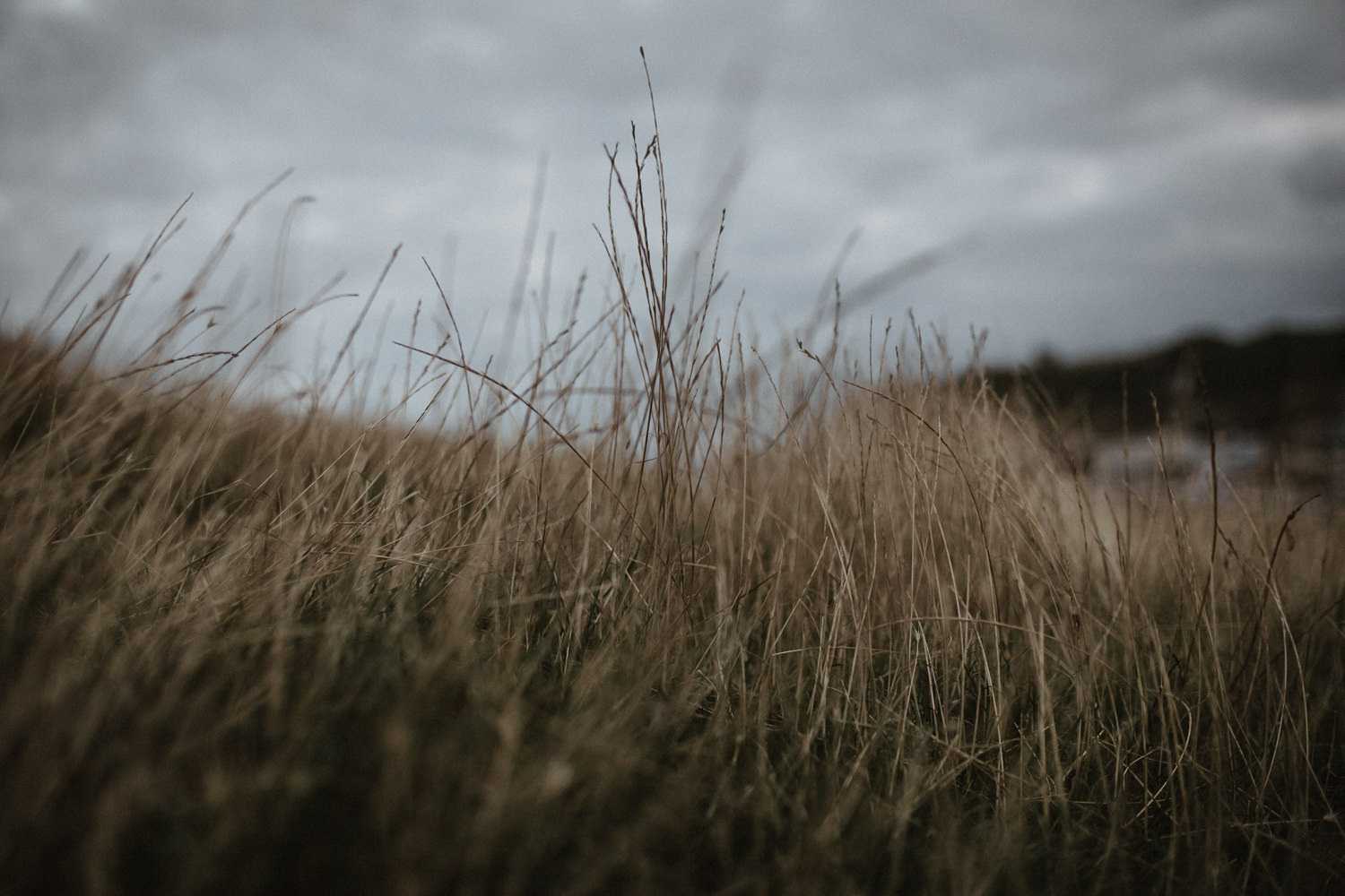 Séance-Couple-à-Etretat