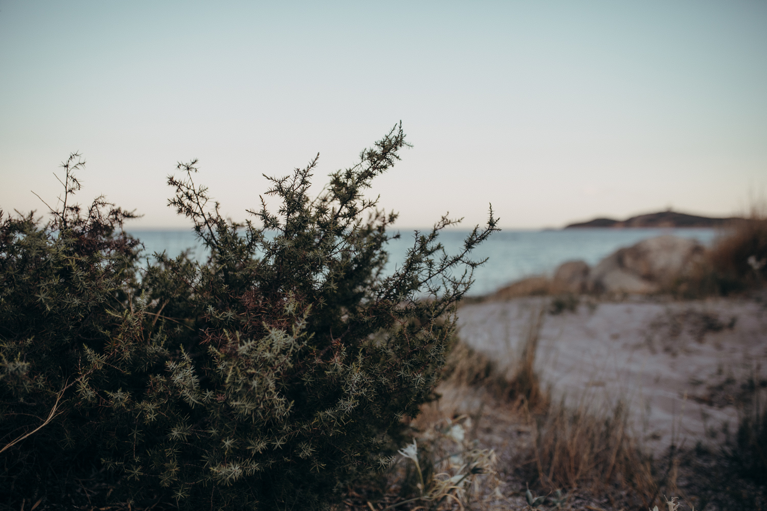 photographe mariage corse